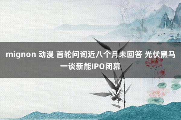 mignon 动漫 首轮问询近八个月未回答 光伏黑马一谈新能IPO闭幕