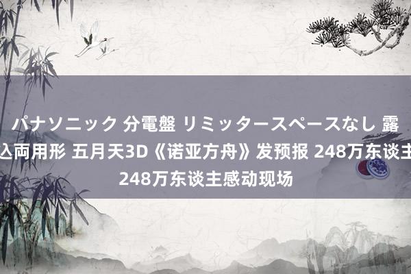 パナソニック 分電盤 リミッタースペースなし 露出・半埋込両用形 五月天3D《诺亚方舟》发预报 248万东谈主感动现场