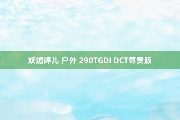 妖媚婷儿 户外 290TGDI DCT尊贵版