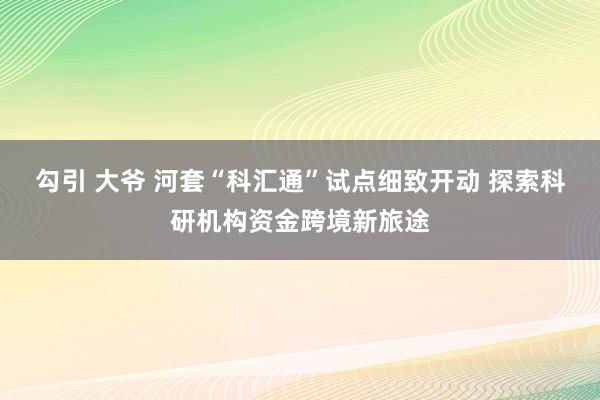 勾引 大爷 河套“科汇通”试点细致开动 探索科研机构资金跨境新旅途