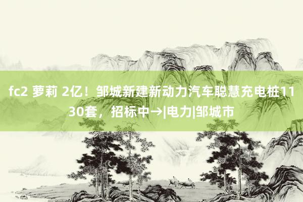 fc2 萝莉 2亿！邹城新建新动力汽车聪慧充电桩1130套，招标中→|电力|邹城市