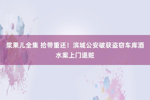 浆果儿全集 拾带重还！滨城公安破获盗窃车库酒水案上门退赃