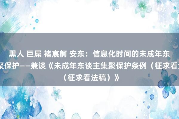 黑人 巨屌 褚宸舸 安东：信息化时间的未成年东谈主集聚保护——兼谈《未成年东谈主集聚保护条例（征求看法稿）》