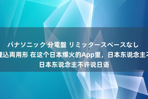 パナソニック 分電盤 リミッタースペースなし 露出・半埋込両用形 在这个日本爆火的App里，日本东说念主不许说日语