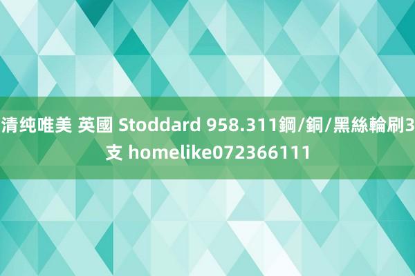 清纯唯美 英國 Stoddard 958.311鋼/銅/黑絲輪刷3支 homelike072366111